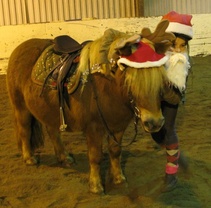 Joulupukkikin pistäytyi juhlissamme Niitta-porolla, kuva: Liisi Myllykangas