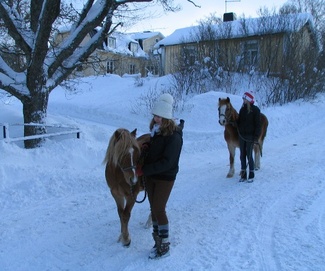 Sunny ja Eetu lähdössä Eriksnäsistä, kuva: Liisi Myllykangas