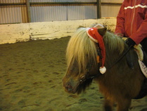 Kuva: Liisi Myllykangas