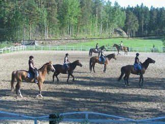 Kuvat 1-8: Liisi Myllykangas