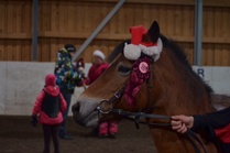 Uni palkittuna vuoden ponina
kuva:Laura Simpura