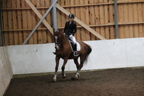 Pihla Lehtinen ja Hermik. kuva: Ida Kuivasniemi