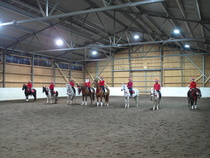 katrilliratsukot. kuva: Liisi Myllykangas