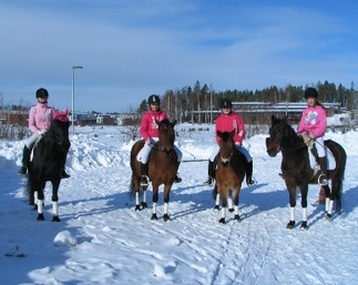 Poniratsastajat ja ponit valmiina katrilliin, kuva: Liisi Myllykangas