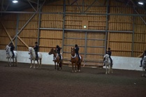 Katrilliratsukoita
kuva:Laura Simpura