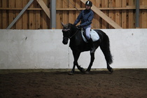 Ina Tuomela ja Spirit. kuva: Ida Kuivasniemi